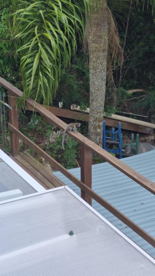 Сasa de vacaciones Good Vibes Com Jacuzzi E Vista O Mar Chacarailhadamagia Florianópolis